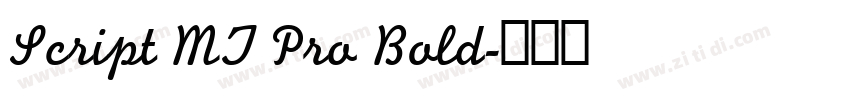 Script MT Pro Bold字体转换